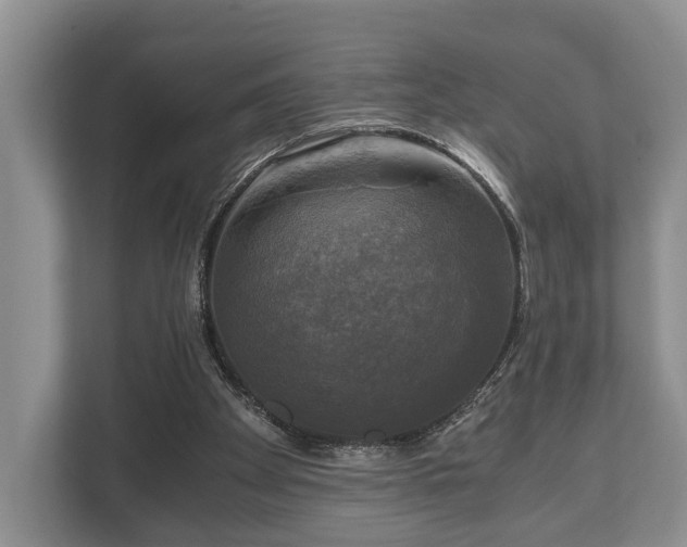 X0000110320105200905281640