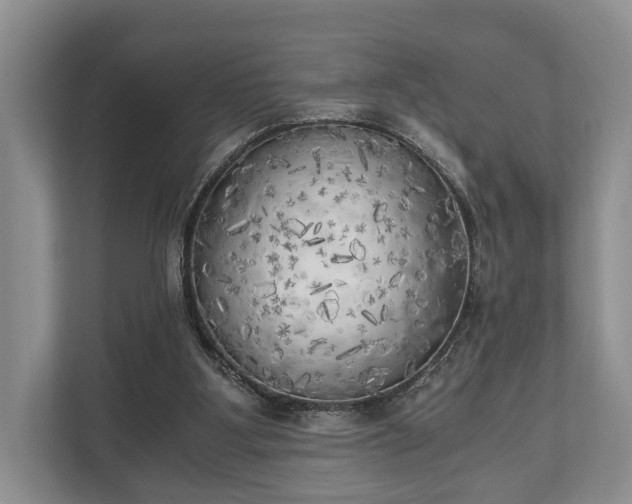 X0000110320107200905281640