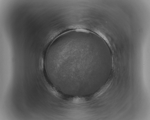 X0000110320109200905281640