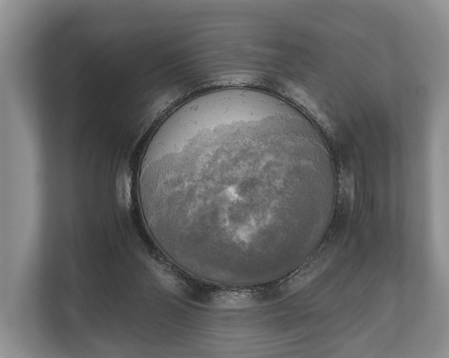 X0000110320110200905281640