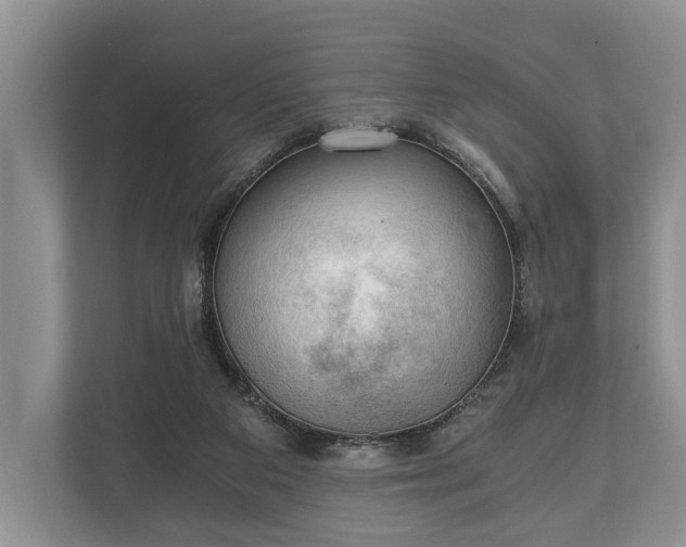 X0000110320113200905281640