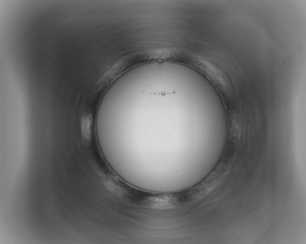 X0000110320118200905281640