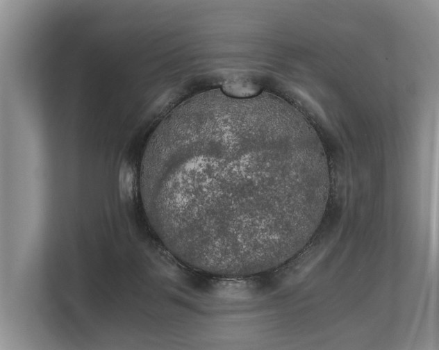 X0000110320123200905281640