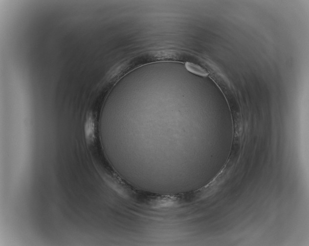 X0000110320124200905281640