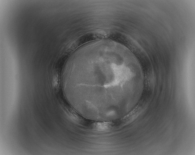 X0000110320134200905281640