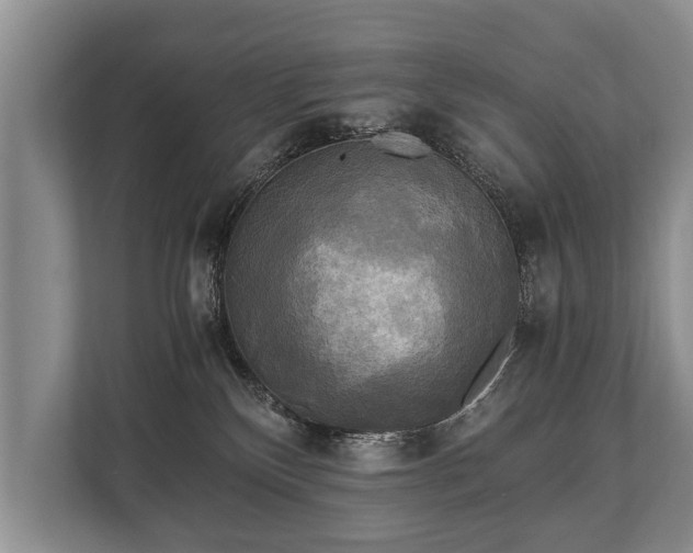 X0000110320136200905281640