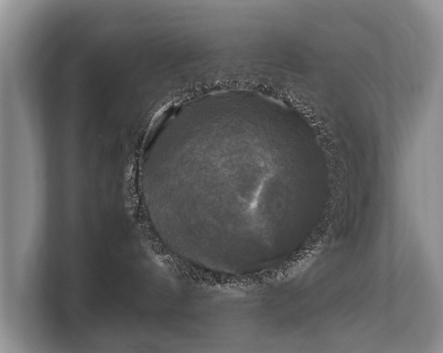 X0000110320144200905281640