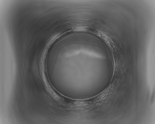 X0000110320145200905281639