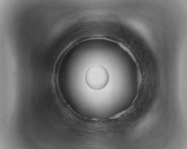 X0000110320146200905281639