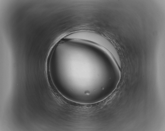 X0000110320148200905281639