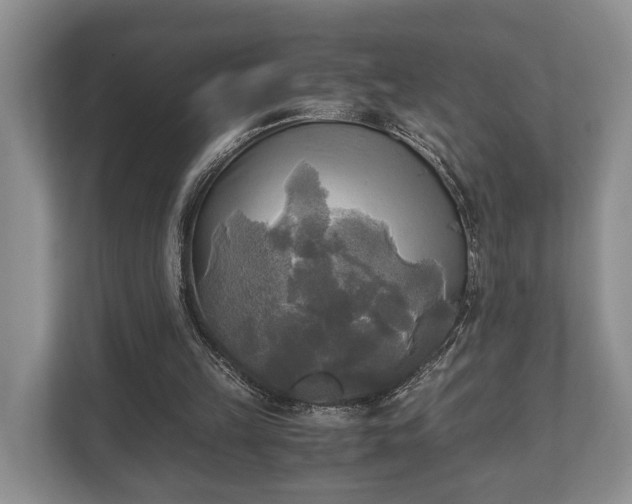 X0000110320149200905281639