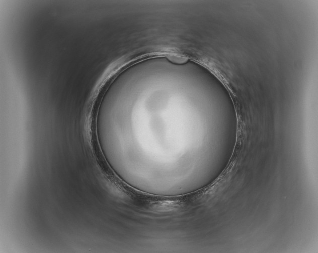 X0000110320151200905281639