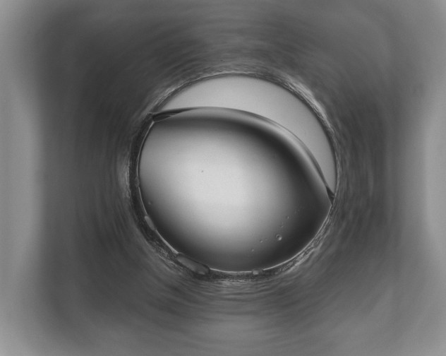 X0000110320154200905281639