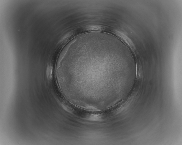 X0000110320157200905281639