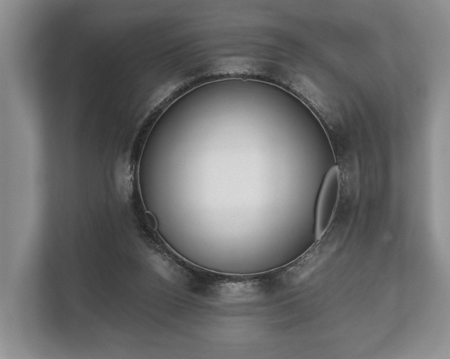 X0000110320160200905281639