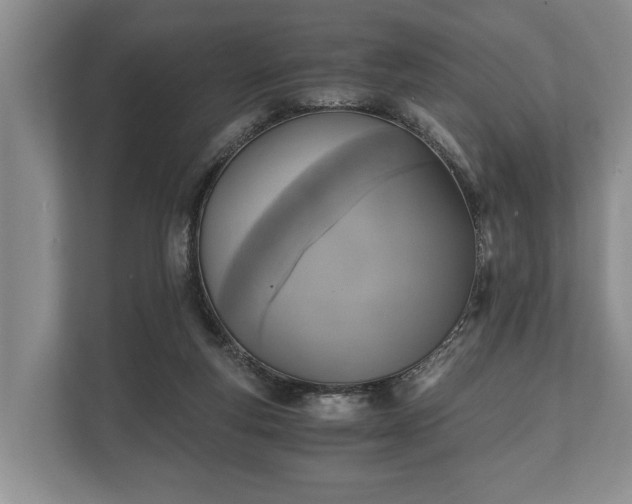 X0000110320163200905281640