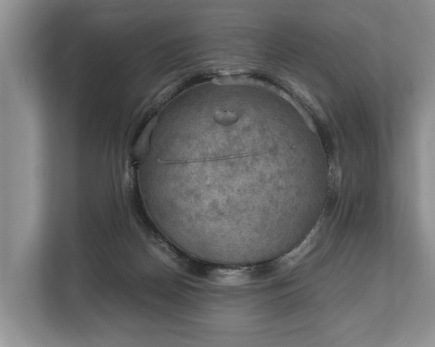 X0000110320170200905281640