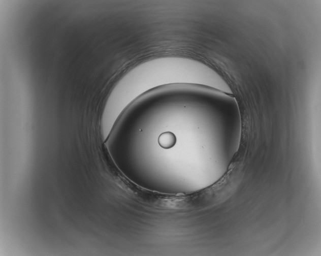 X0000110320172200905281640