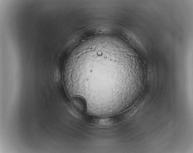 X0000110320173200905281640