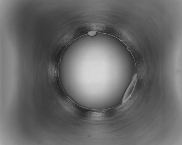 X0000110320176200905281640