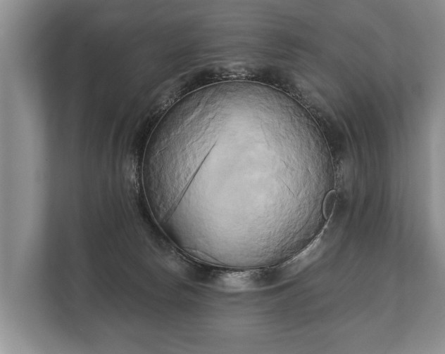 X0000110320178200905281640