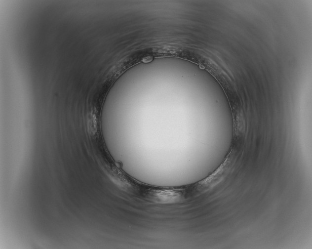 X0000110320183200905281640