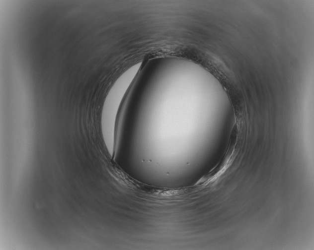 X0000110320186200905281640