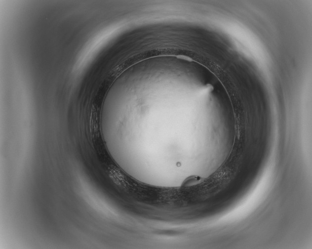 X0000110320190200905281640