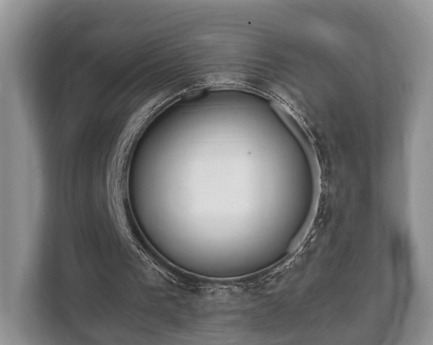 X0000110320193200905281639