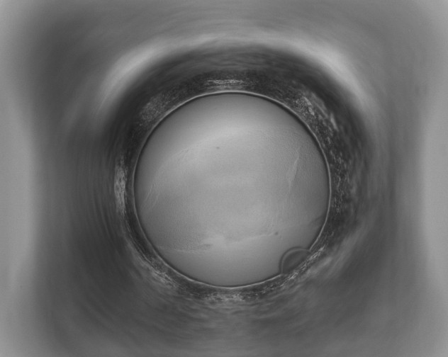 X0000110320194200905281639