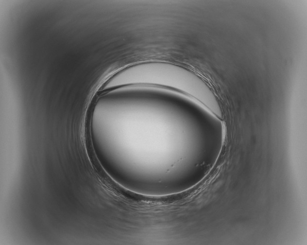 X0000110320195200905281639