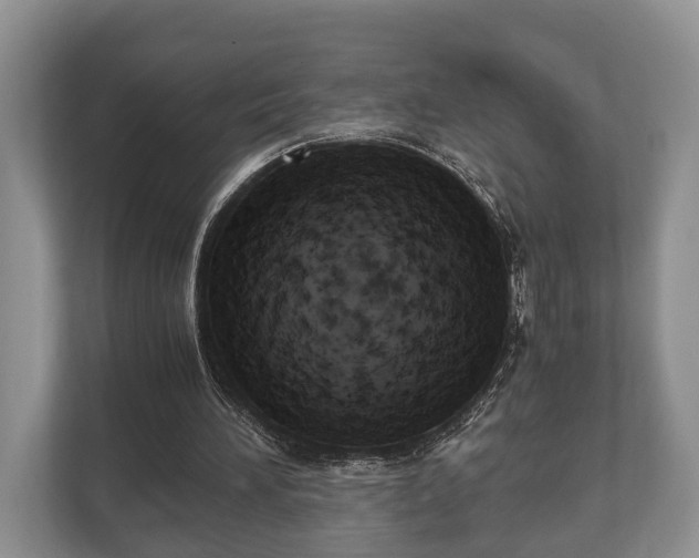 X0000110320196200905281639