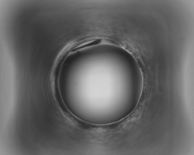 X0000110320197200905281639