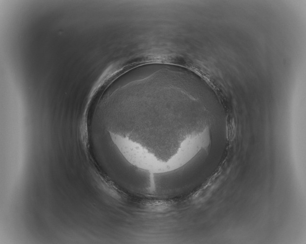 X0000110320198200905281639