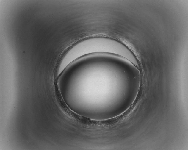 X0000110320201200905281639