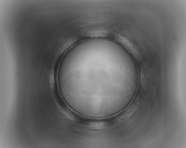 X0000110320202200905281639