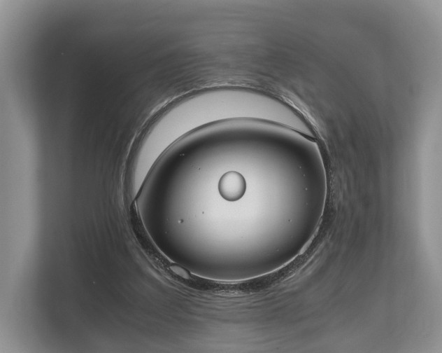 X0000110320203200905281639