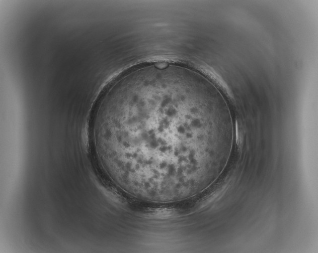 X0000110320204200905281639