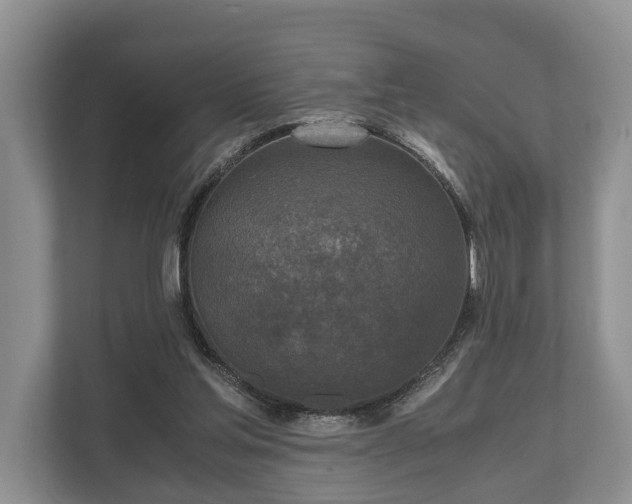 X0000110320205200905281639