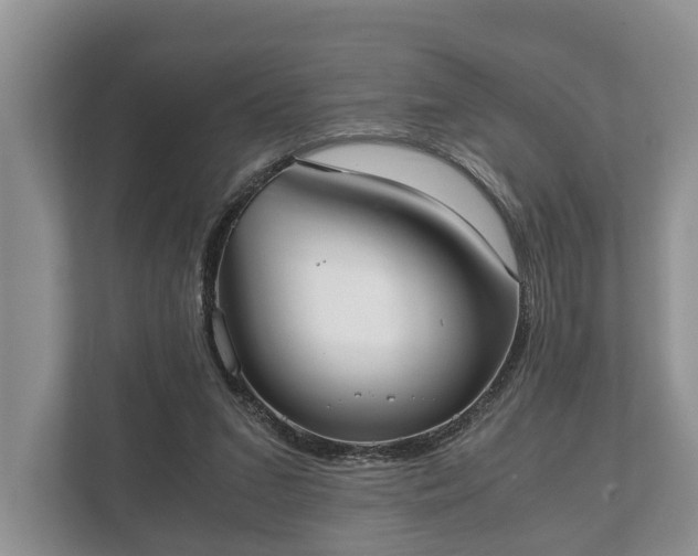 X0000110320207200905281639