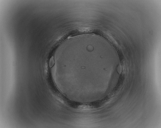 X0000110320211200905281639