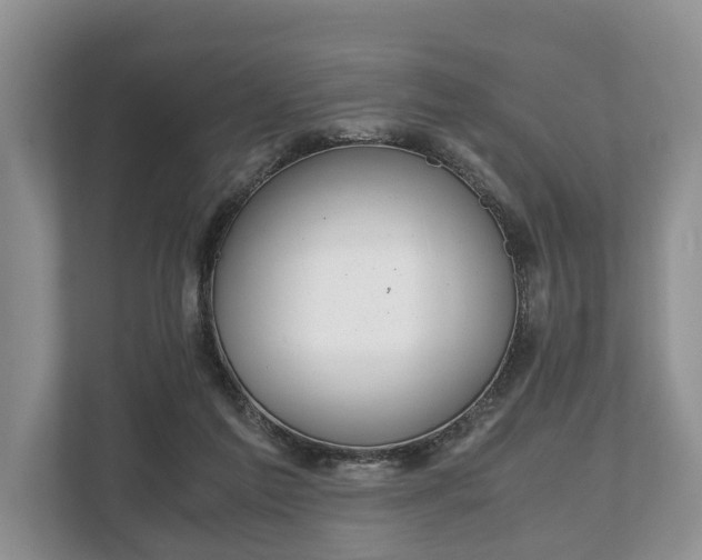 X0000110320213200905281639