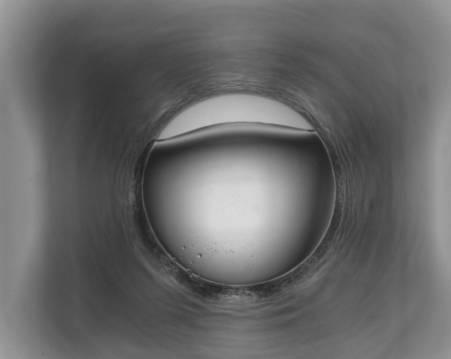 X0000110320215200905281639