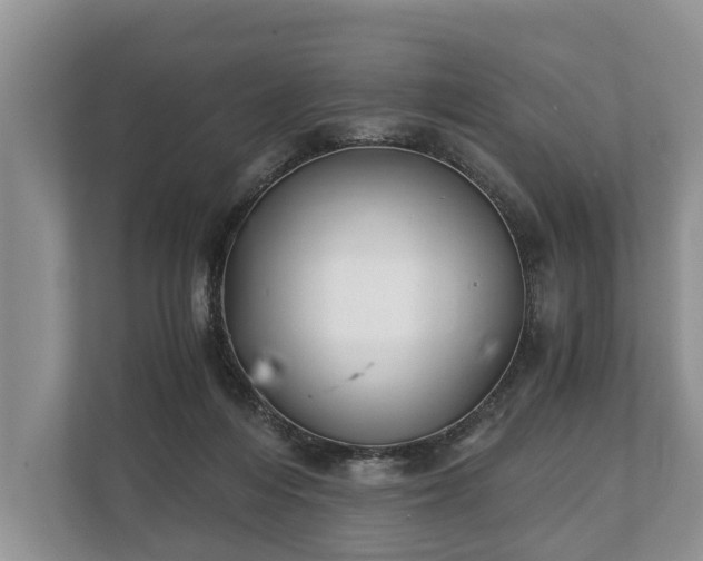 X0000110320216200905281639