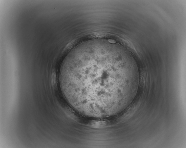 X0000110320220200905281639