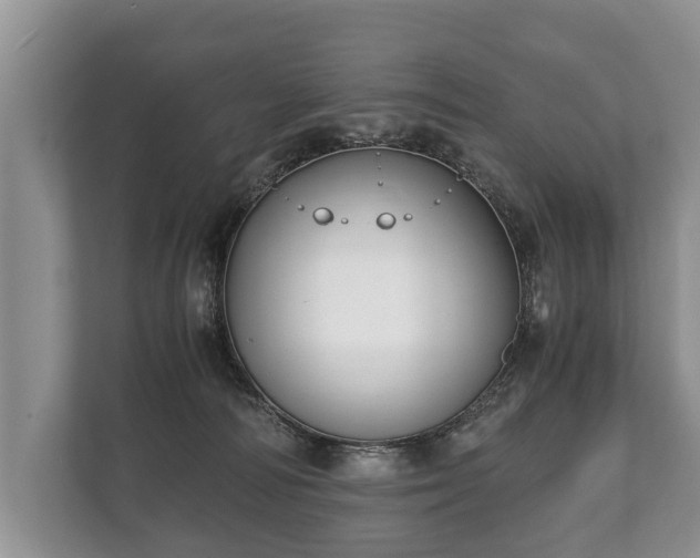 X0000110320226200905281639