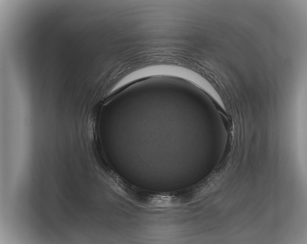 X0000110320227200905281639