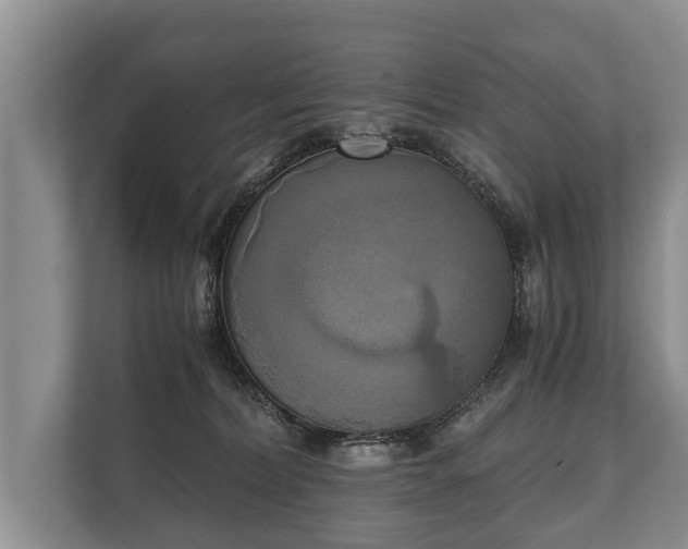 X0000110320228200905281639