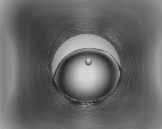 X0000110320229200905281639