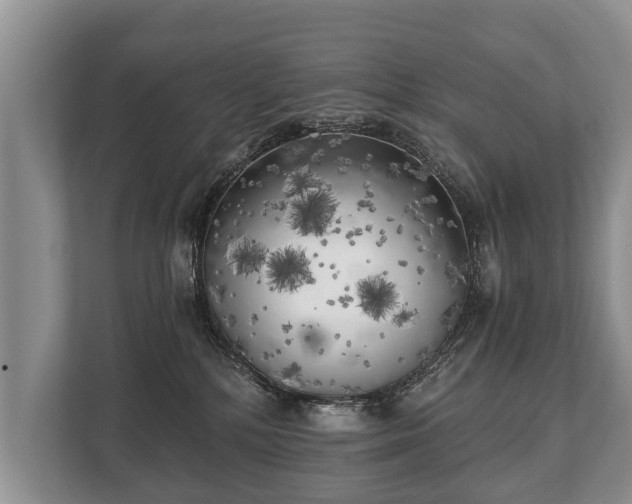 X0000110320232200905281639